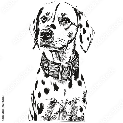Dalmatian dog t shirt print black and white, cute funny outline drawing vector realistic breed pet