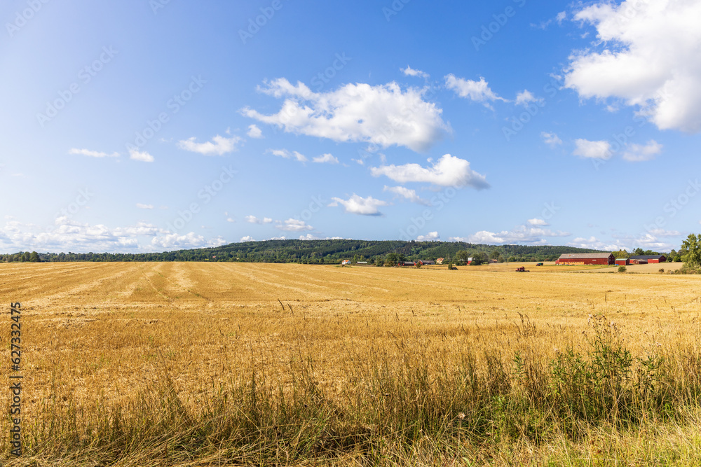 View at a field in a rural landscape