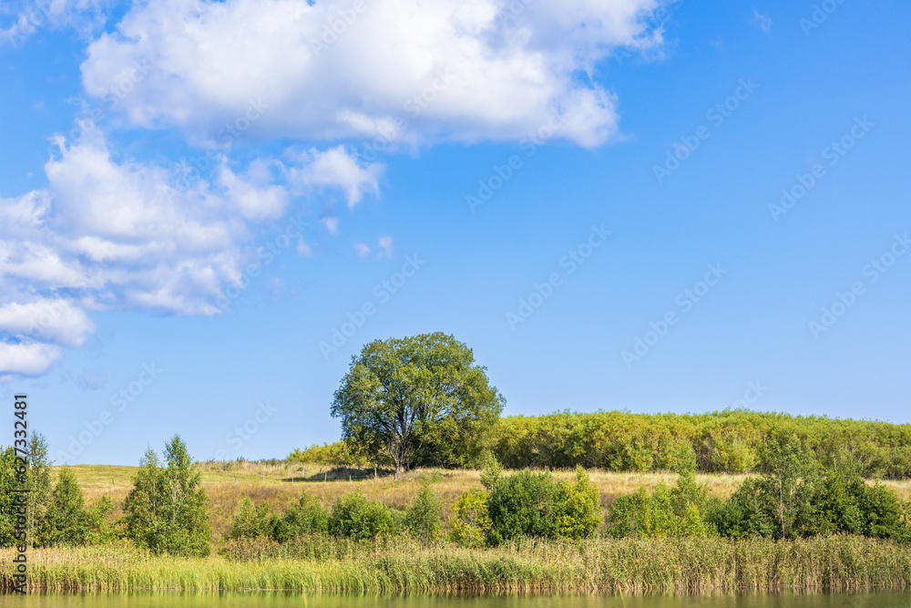 Lakeshore with lush green trees a sunny summer day Lakeshore with lush green trees a sunny summer day