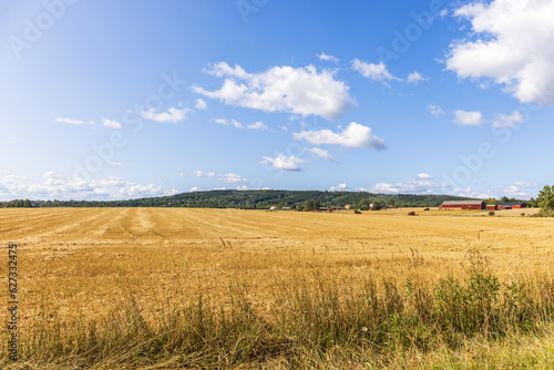 View at a field in a rural landscape