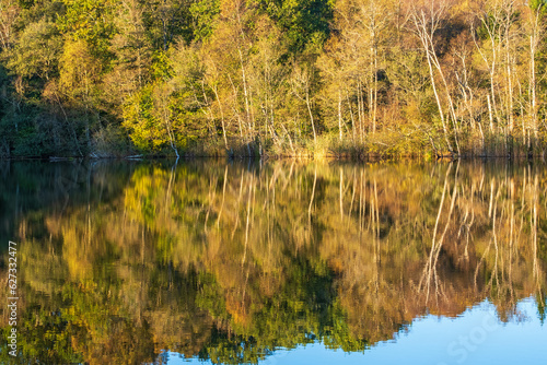 Water reflections and autumn colors by a forest lake