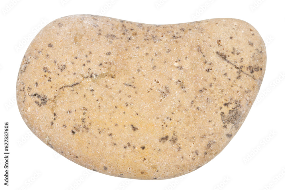 Top view of single yellow pebble Top view of single yellow pebble