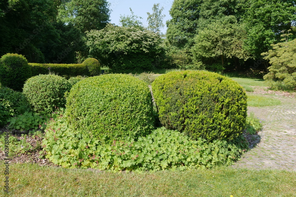 Hecke im Natur- und Erlebnispark Bremervörde