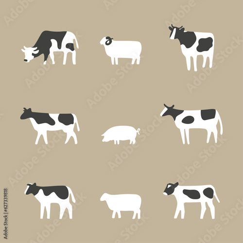 cattle collection 