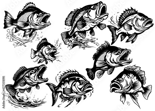 Peces