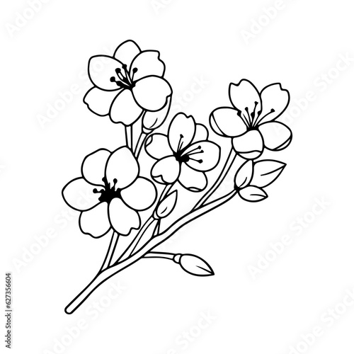 plum blossom illustration, flowers of cherry, sakura, wild cherry plum.