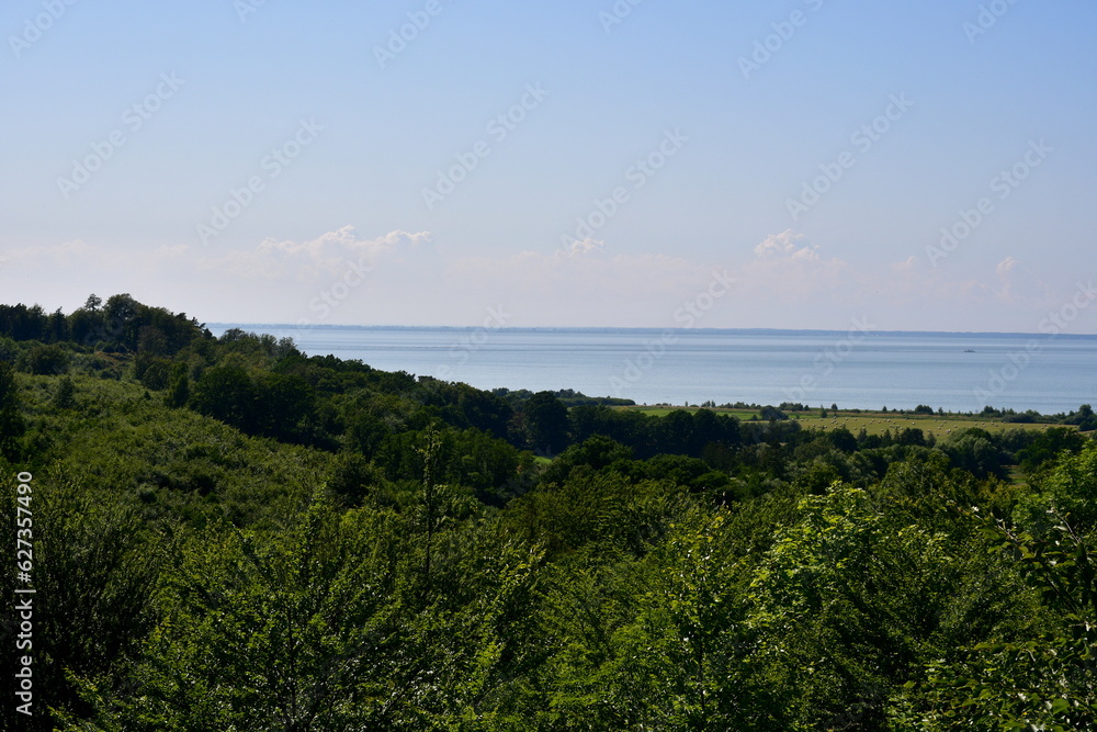A view from the top of a tall hill with a vast area covered with trees, shrubs, and other flora visible next to a vast water reservoir, possibly an ocean or a sea seen on a sunny summer day