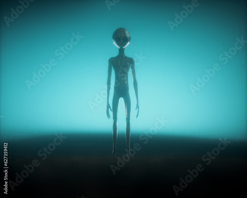 Tableau sur toile Alien on dark foggy background. Unknown and ufo concept.