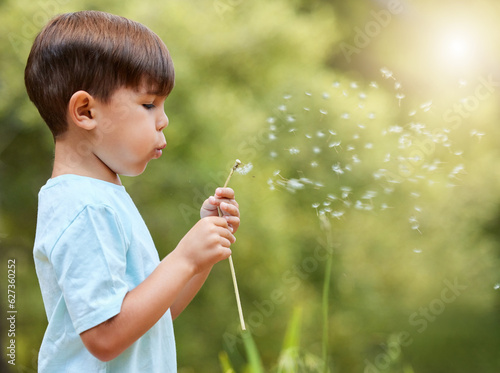 Nature, meadow and child blowing dandelion for wish, hope and growth in field with flowers. Spring, childhood and profile of young boy with wildflower in park for adventure, freedom and happiness