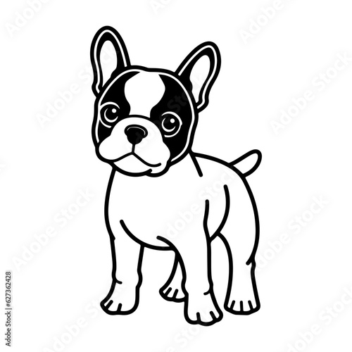 Boston Terrier, hand drawn cartoon character, dog icon.