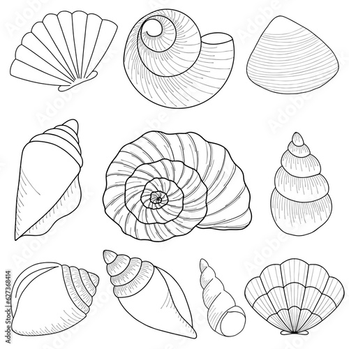 Marine theme set. Sea shells. Different seashells isolated on white background. Vector illustration Sketch style