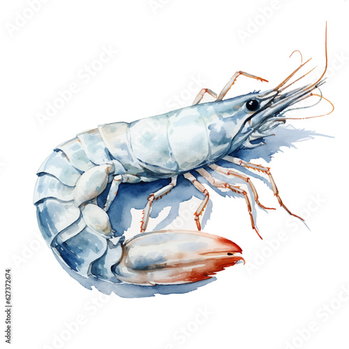 Watercolor illustration blue shrimp in ocean by hand draw isolated on white background.