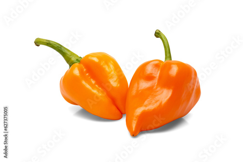 Two orange habanero peppers isolated on transparent or white background, png photo