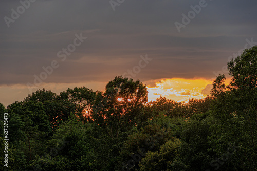 A meadow at the edge of the forest with dramatic cloudy sky in thunderstorm mood