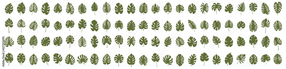 Set of leaf silhouette elements. Collection of monstera silhouettes on isolated background. Vector illustration