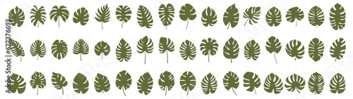 Set of leaf silhouette elements. Collection of monstera silhouettes on isolated background. Vector illustration