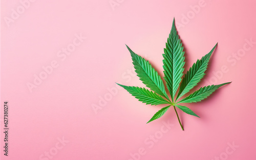 Top view of a single cannabis leaf lying on a flat pastel surface. A cannabis leaf lying on a pink background with copy space. 