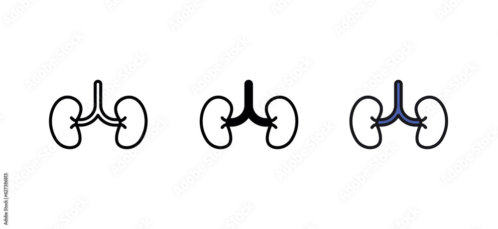 Kidney icon design with white background stock illustration Kidney icon design with white background stock illustration