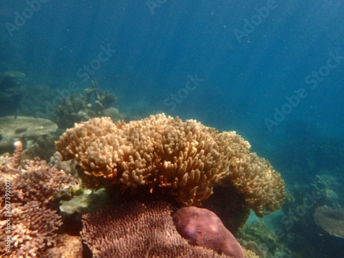 View of Coral Reefs with Tropical Fish, Karimunjawa Sea, Indonesia 