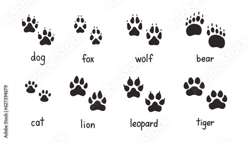 Animal paw prints set, vector different animals footprints. Dog fox wolf bear cat lion leopard tiger