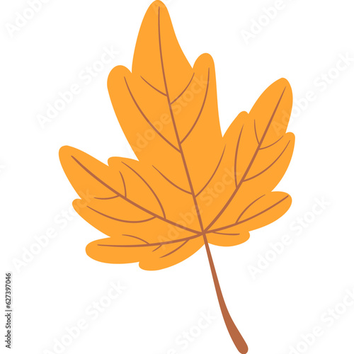 leaf maple