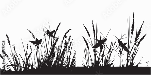 The grasshopper sits on the grass Silhouette vector illustration 