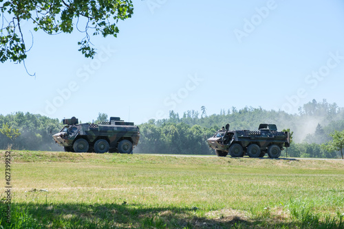 Bundeswehr Transport-Panzer Fuchs am Horizont (Bw)