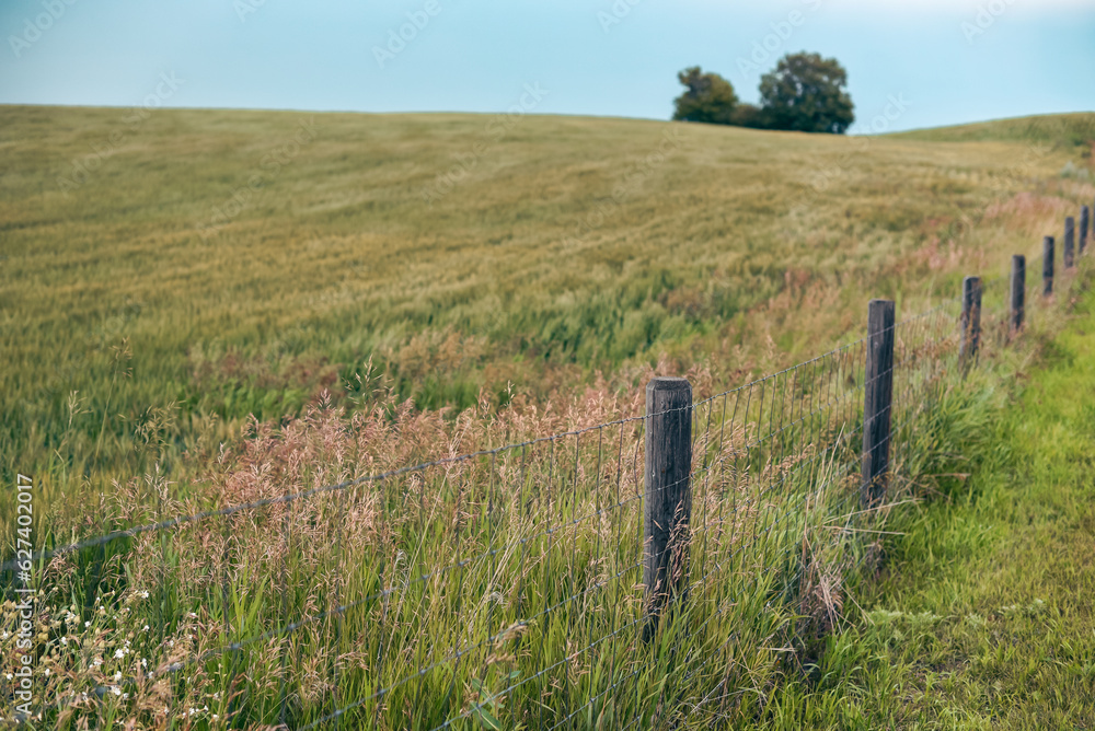 View of agricultural field and fence on the Trans Canada Trail in Central Alberta, Canada in summer