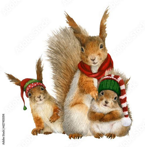 A funny anthropomorphic mother squirrel with a red scarf and 2 anthropomorphic baby squirrels with caps hand drawn in watercolor. Watercolor Christmas illustration. Isolated image