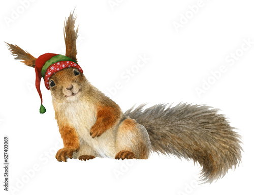 A funny anthropomorphic squirrel with a winter cap hand drawn in watercolor. Watercolor Christmas illustration. Isolated image