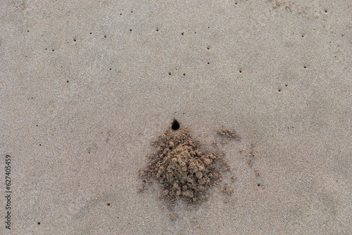 Close-up of a crab hole and air holes burrowed in the sand along the shoreline of Kamaole 2 Beach; Kihei, Maui, Hawaii, United States of America photo