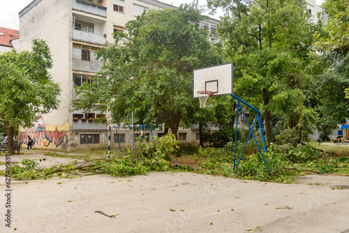 Novi Sad, Serbia - July 20, 2023: The storm broke the trees. Deferred trees after the storm