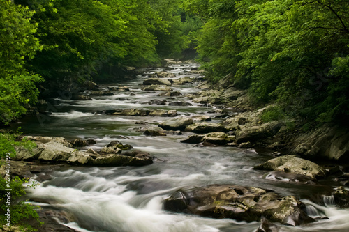 Middle Prong River cascades over rocks through a woodland. photo