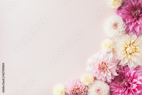 Beautiful autumn dahlia flowers on pastel background top view.