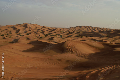sand dunes in the desert