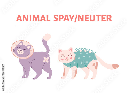 Animal spay or neuter. Cat in veterinary collar. Sterilization of pets. World spay day. Vector illustration in flat style