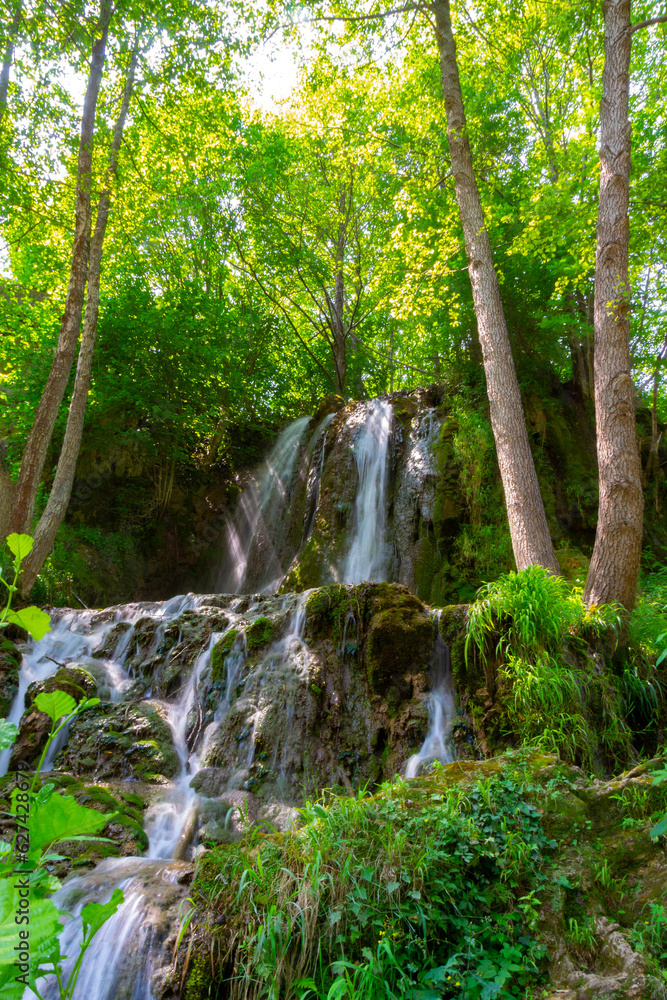 Enchanting Forest Waterfalls: Where Turquoise Dreams Come True