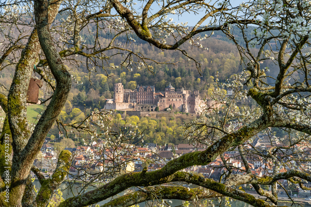 Heidelberg Castle ruins in spring, Baden-Württemberg, Germany Heidelberg Castle ruins in spring, Baden-Württemberg, Germany