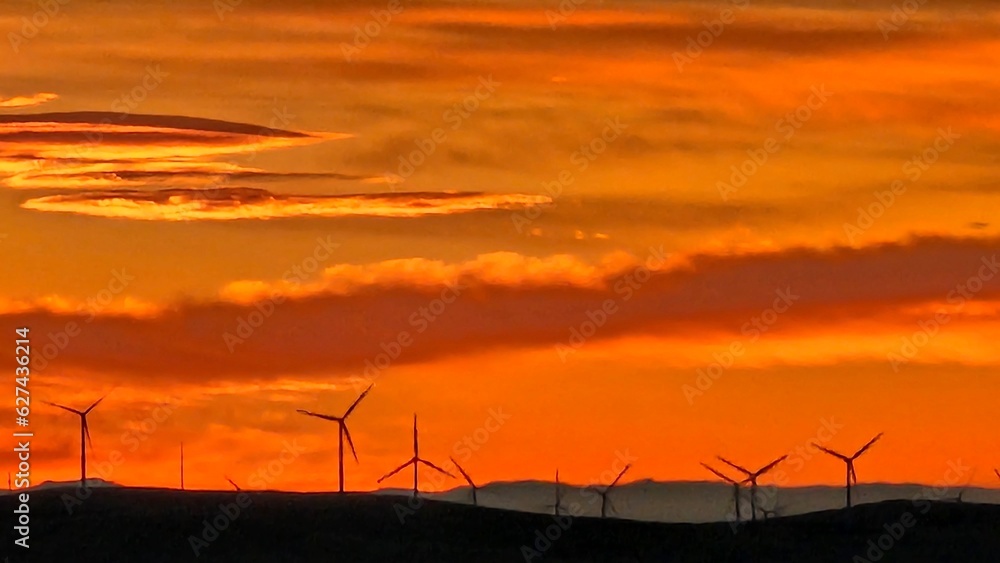 Naklejka premium sunset over the field