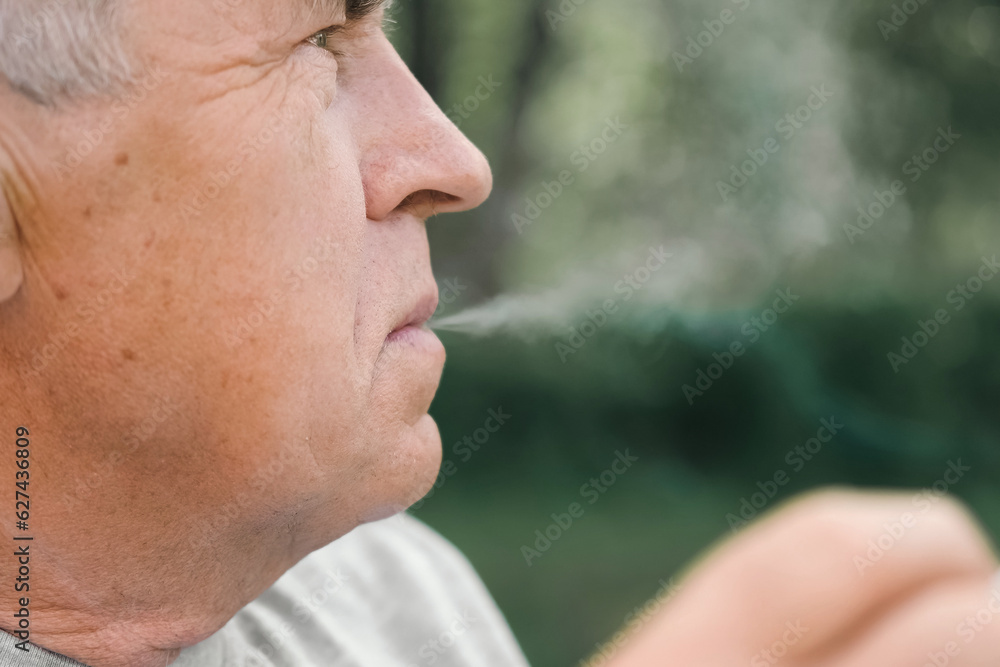 Senior man lighting up a cigarette outdoors against green nature background. Old thoughtful man smoking, looking aside. Close Up Face. Relaxed pensioner enjoy weekend rest outside. Unhealthy habits Senior man lighting up a cigarette outdoors against green nature background. Old thoughtful man smoking, looking aside. Close Up Face. Relaxed pensioner enjoy weekend rest outside. Unhealthy habits