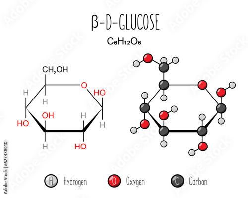 Beta glucose skeletal and flat representation. Skeletal formula and 2d structure illustration. Web style illustration. Vector editable