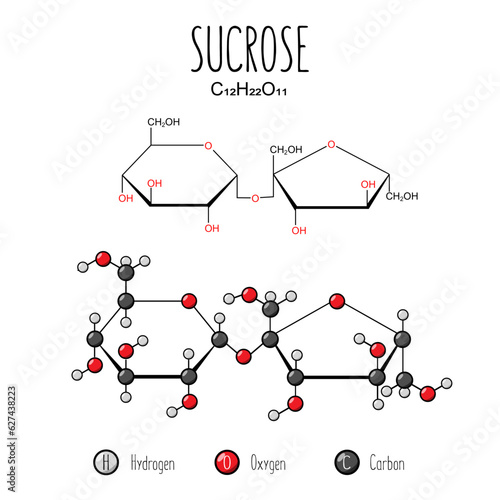 Sucrose skeletal and flat representation. Skeletal formula and 2d structure illustration. Web style illustration. Vector editable photo