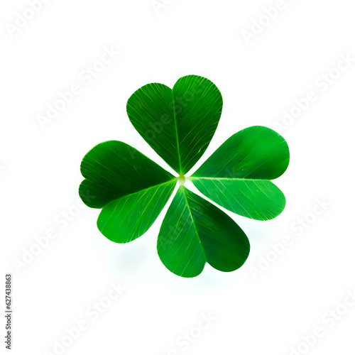 four leaf clover, photography, top angle, 3D, white background 07 © Eliabe Lobo