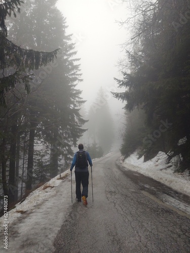 Man or a tourist walking or hiking in the forest in the nature. © Valeria