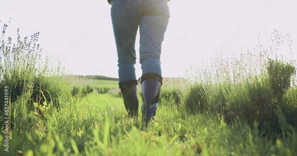 Farmer in rubber boots outdoors in field. Working agronomist walk on black earth soil. Legs of woman farmer in boots walking along agricultural field with sprouts at sunset with sun. Small family Farmer in rubber boots outdoors in field. Working agronomist walk on black earth soil. Legs of woman farmer in boots walking along agricultural field with sprouts at sunset with sun. Small family