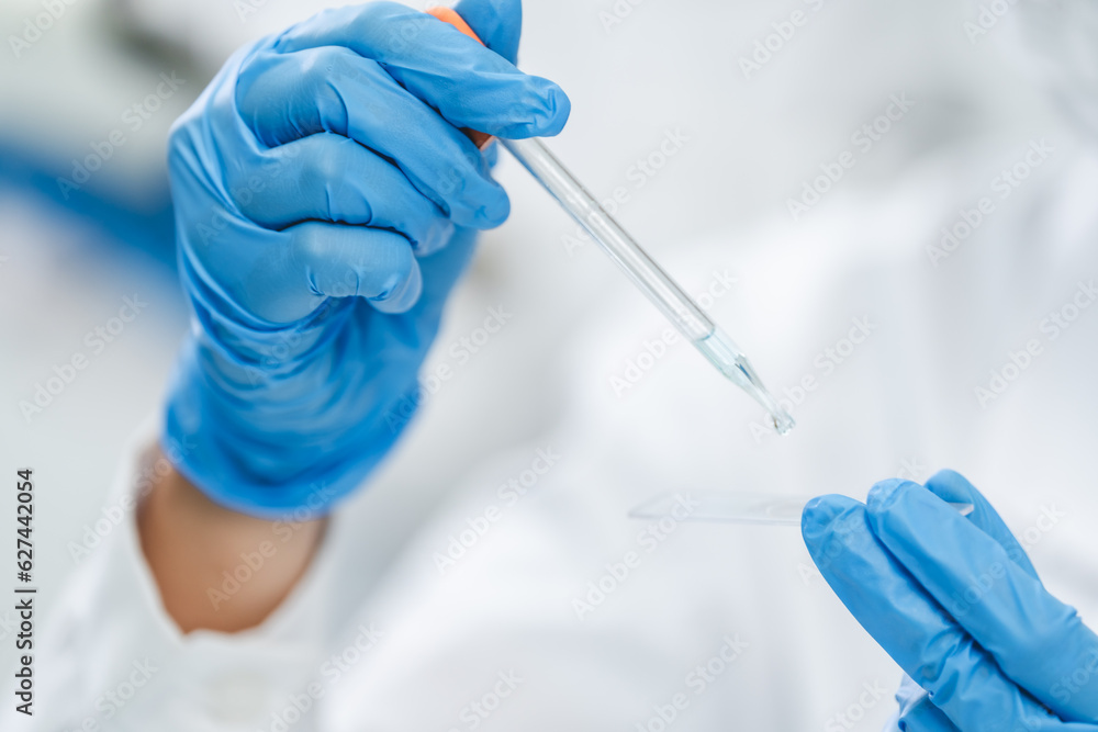 Scientist analyzing microscope slide at laboratory. Young woman technician is examining a histological sample, a biopsy in the laboratory of cancer research, Hand in blue glove holding glass histology Scientist analyzing microscope slide at laboratory. Young woman technician is examining a histological sample, a biopsy in the laboratory of cancer research, Hand in blue glove holding glass histology