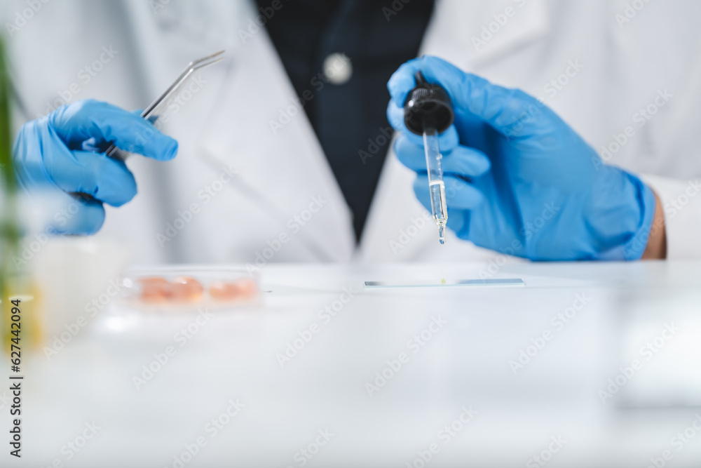 Scientist analyzing microscope slide at laboratory. Young woman technician is examining a histological sample, a biopsy in the laboratory of cancer research, Hand in blue glove holding glass histology Scientist analyzing microscope slide at laboratory. Young woman technician is examining a histological sample, a biopsy in the laboratory of cancer research, Hand in blue glove holding glass histology