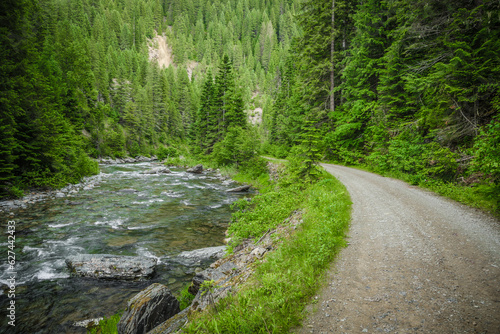 Foto Dirt road in northern Idaho running along a creek in a green pine tree forest