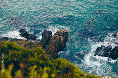 TOP view ocean line with rock and sea calves. Widescreen wallpapers. Blue ocean