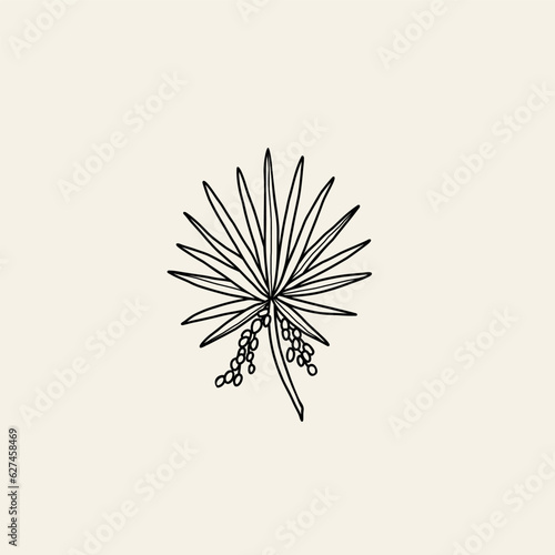 Line art saw palmetto branch illustration
